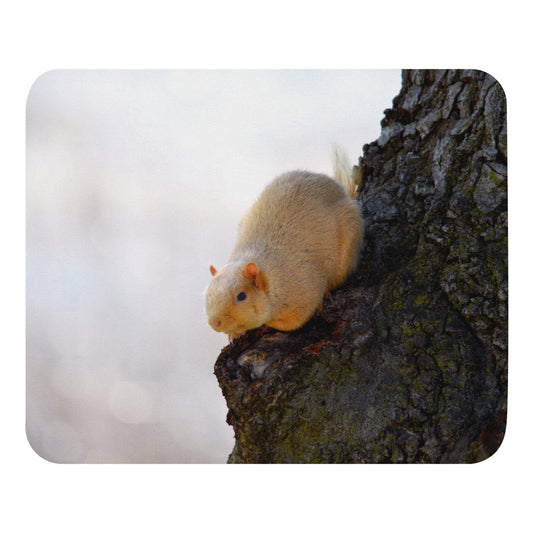 Blonde Squirrel Mouse pad